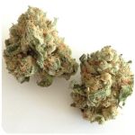 Шишки "White Widow"  (Белая вдова)  Гидропоника -  Бошка VHQ в Уве